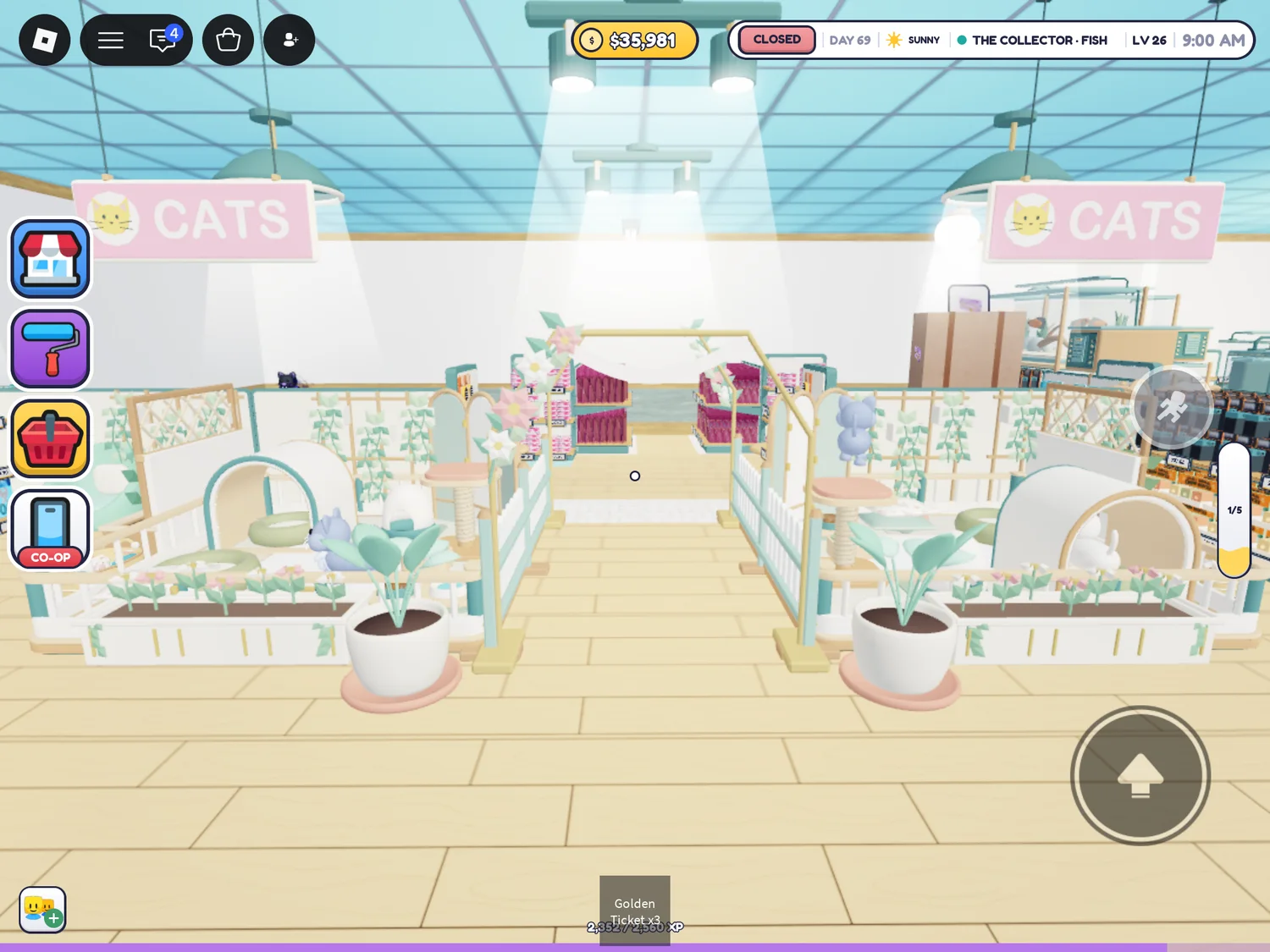 Cat enclosures arranged on both sides of a central aisle with pink CATS signs.