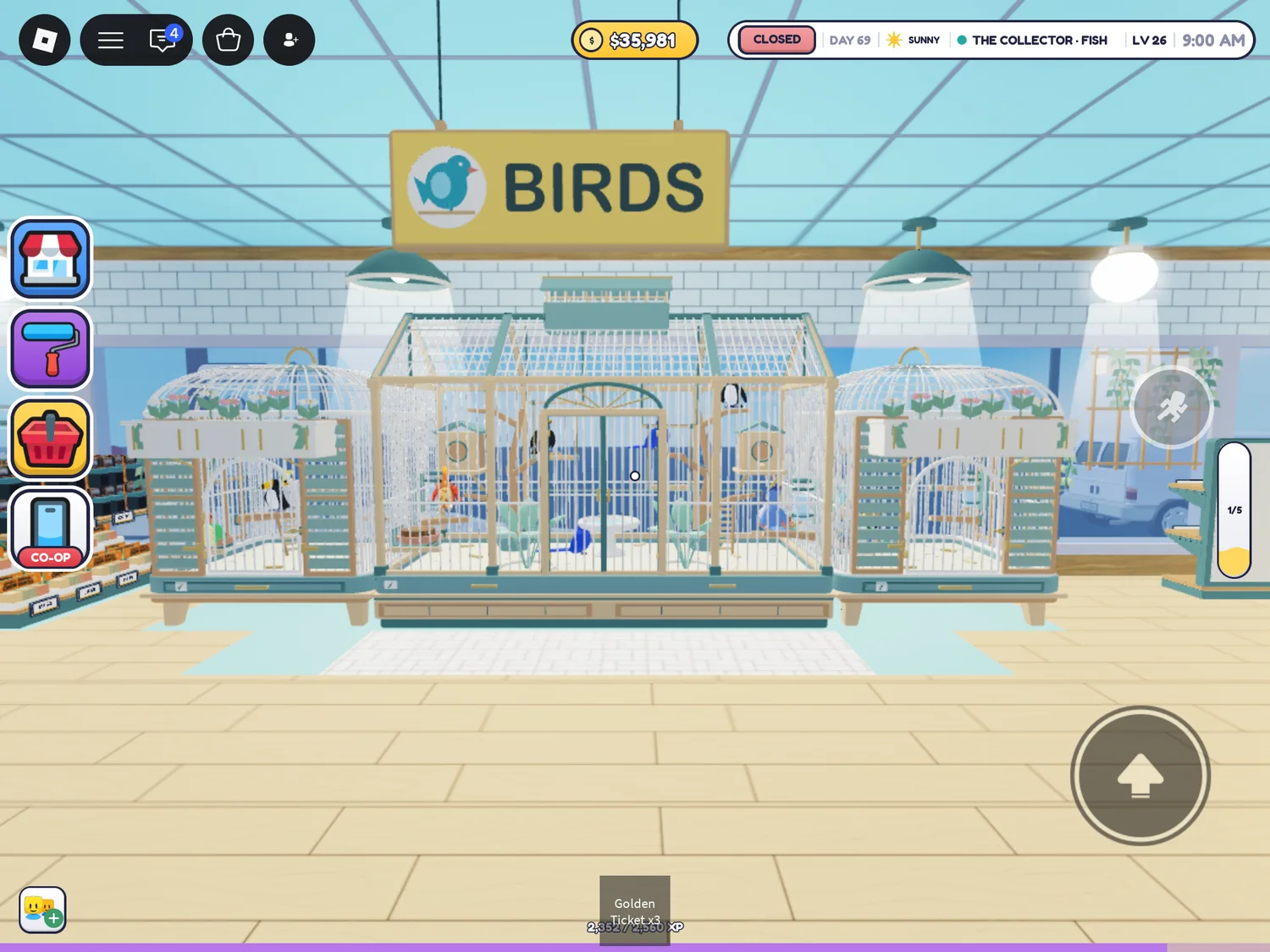 Row of matching bird cages beneath a yellow BIRDS sign.